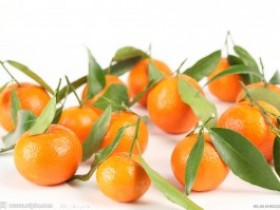 多吃橘子能防肝病