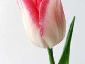 如何自测5种常见妇科病