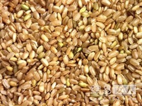 六种米的不同差生保健功效