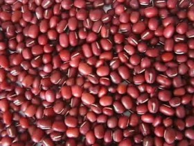 夏季中午时分吃赤小豆最养心