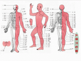 秋季调经常按7穴位 让女人经期“循规蹈矩”