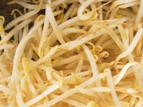 换季必吃的5款暖身滋补蔬菜