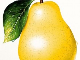 饭后吃什么助消化