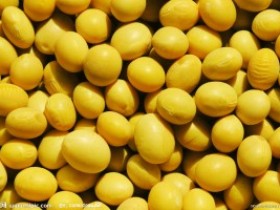 五谷怎样吃最养生