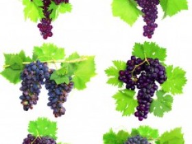 酸味食物的养生食谱