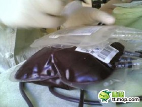 为撒医生从不献血?