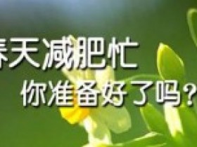 春季中医减肥法
