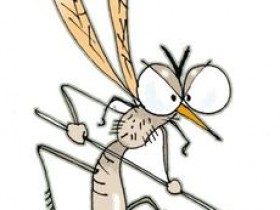 如何预防秋季蚊子叮咬