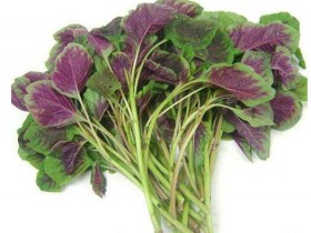 铁质不输牛肉!吃素补铁,红苋菜倍棒