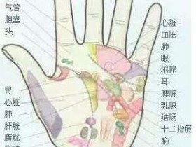 梳手心十分钟,就能预防痴呆、脑中风,过了40要常做