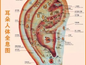 这个部位,拉的越多,肾就越好,男女都适合!赶紧收藏