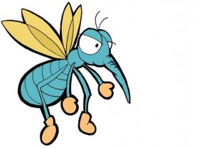 你一定要知道的16个驱蚊小妙招,天然又环保驱蚊法