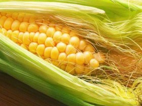 祛除体内湿气先养好脾胃!多吃黄色食物