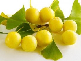 拯救健忘和不举,银杏是超级好帮手?