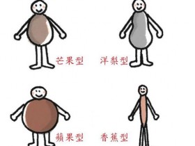 酵素不足易发胖!从体型看看你缺乏哪一种酵素