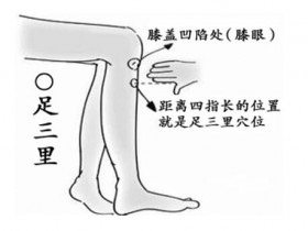 常按足三里穴延年益寿!除胀气、胃痛更有一套