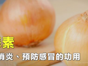 好像快感冒了?3分钟完成洋葱蔬果汁提升抵抗力