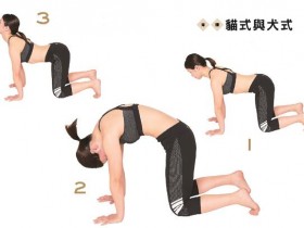 增肌减脂训练大肌肉! 打造小蛮腰