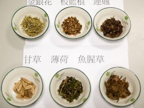 日肠病毒拉警报〜金银花茶清热解毒、缓解咽喉不适