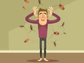 蟑螂也是过敏原!自制天然饵剂有效除蟑防过敏