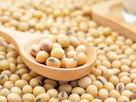 生理期虚弱疲累,喝这杯找回活力!