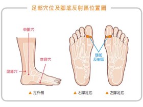 按摩双脚4部位帮脖子减压,舒缓后颈酸痛