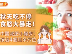 秋天吃不停,食欲大暴走!中医减肥小撇步:按这4个耳朵穴位