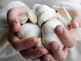 大蒜泡高粱酒抗癌、防手脚冰冷、让男人壮如虎?