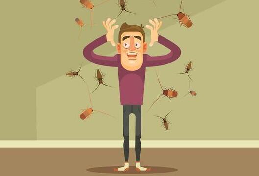蟑螂也是过敏原！自制天然饵剂有效除蟑防过敏