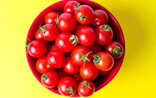 晚上吃番茄减肥，大番茄、小番茄该选谁？
