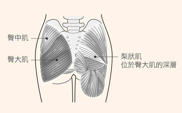 慢性腰痛反覆发作？用毛巾、椅子做2招臀部伸展操，减缓疼痛